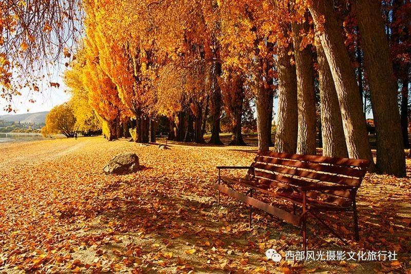 发现别人不知道的!和女友相处了两年,以前她总是叫我名字,最近总是称呼我男人,她是什么意思?冷知识分享平台