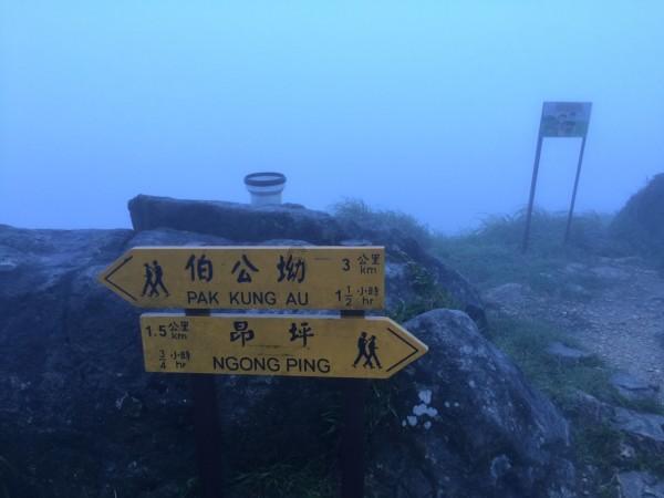 哈哈体育官方入口