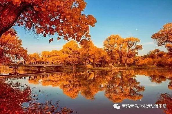 不知道手机怎么给mp3下歌的朋友,来看看这个视频,对你有帮助哦,解答你的疑惑!